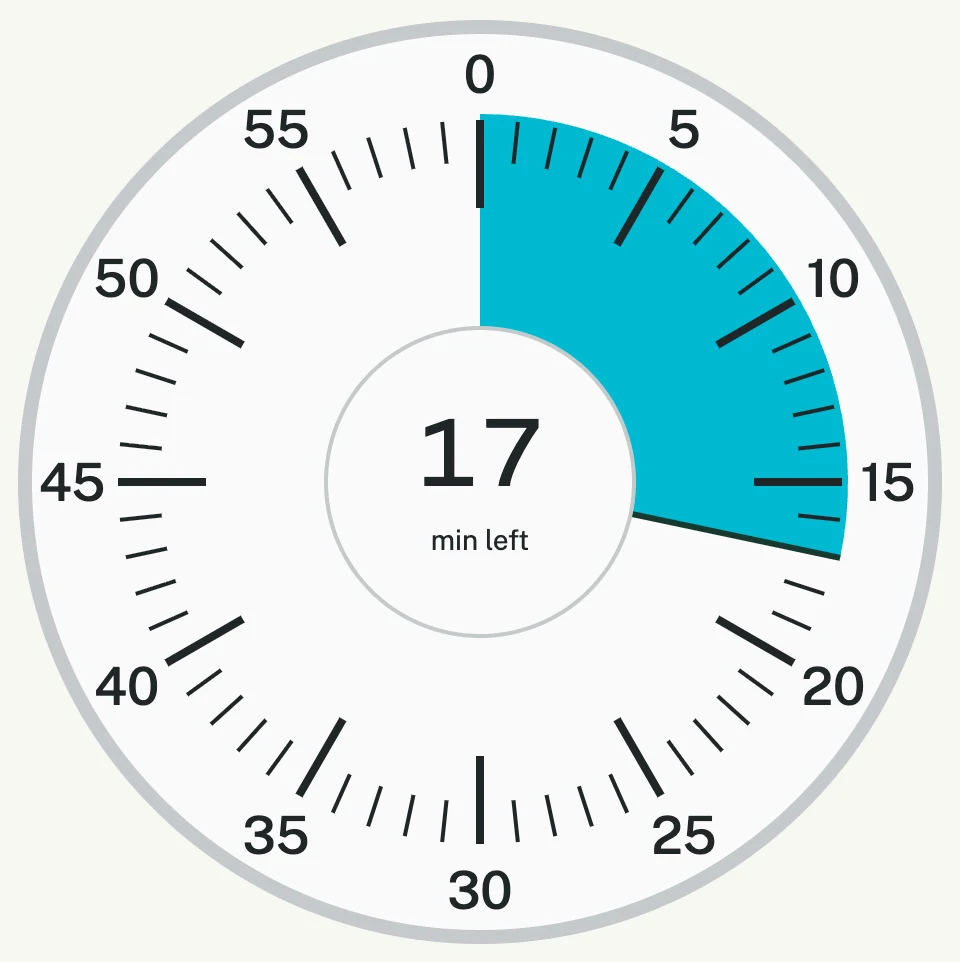 The free timer dial running, with 17 minutes remaining.